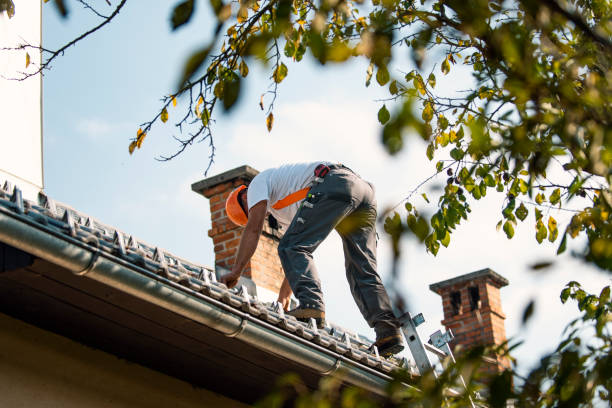 Best Local Roofing Companies  in Warsaw, MO